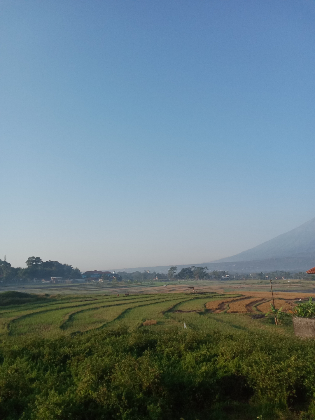 userImage-15