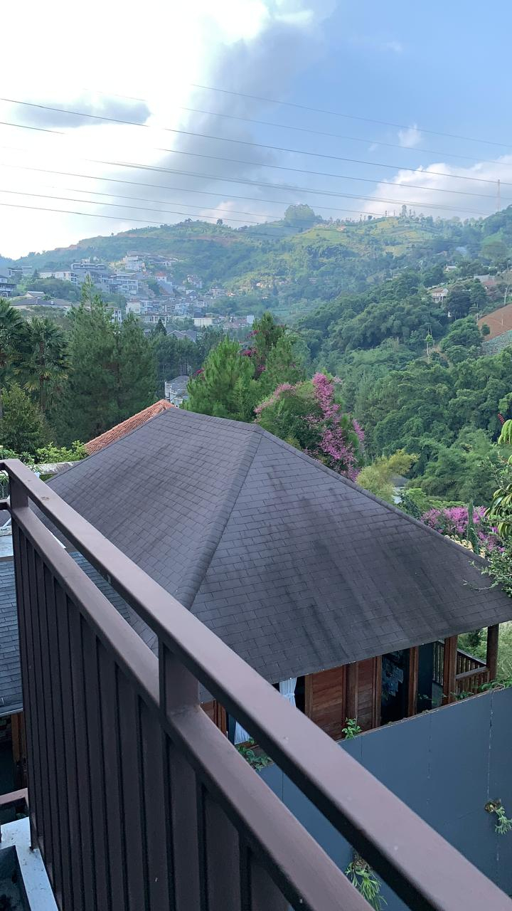 userImage-1