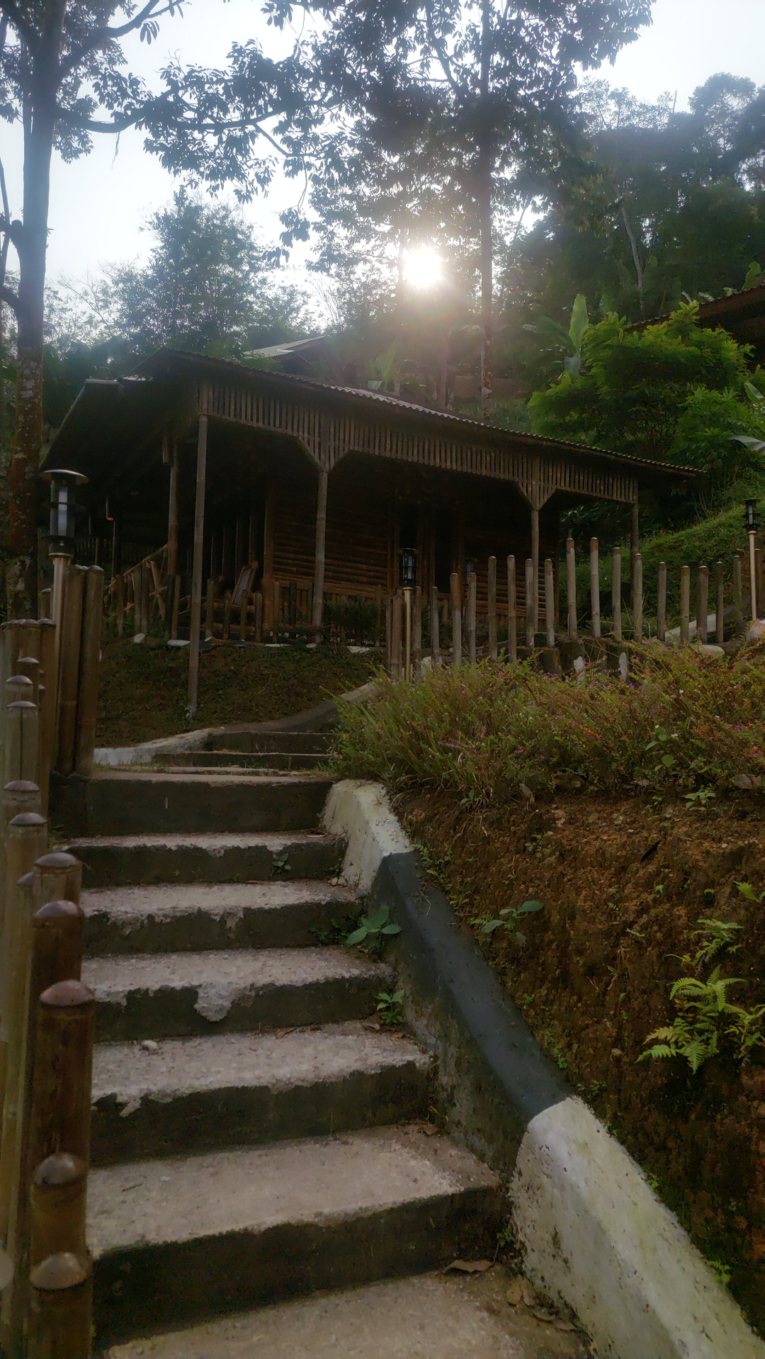 userImage-0