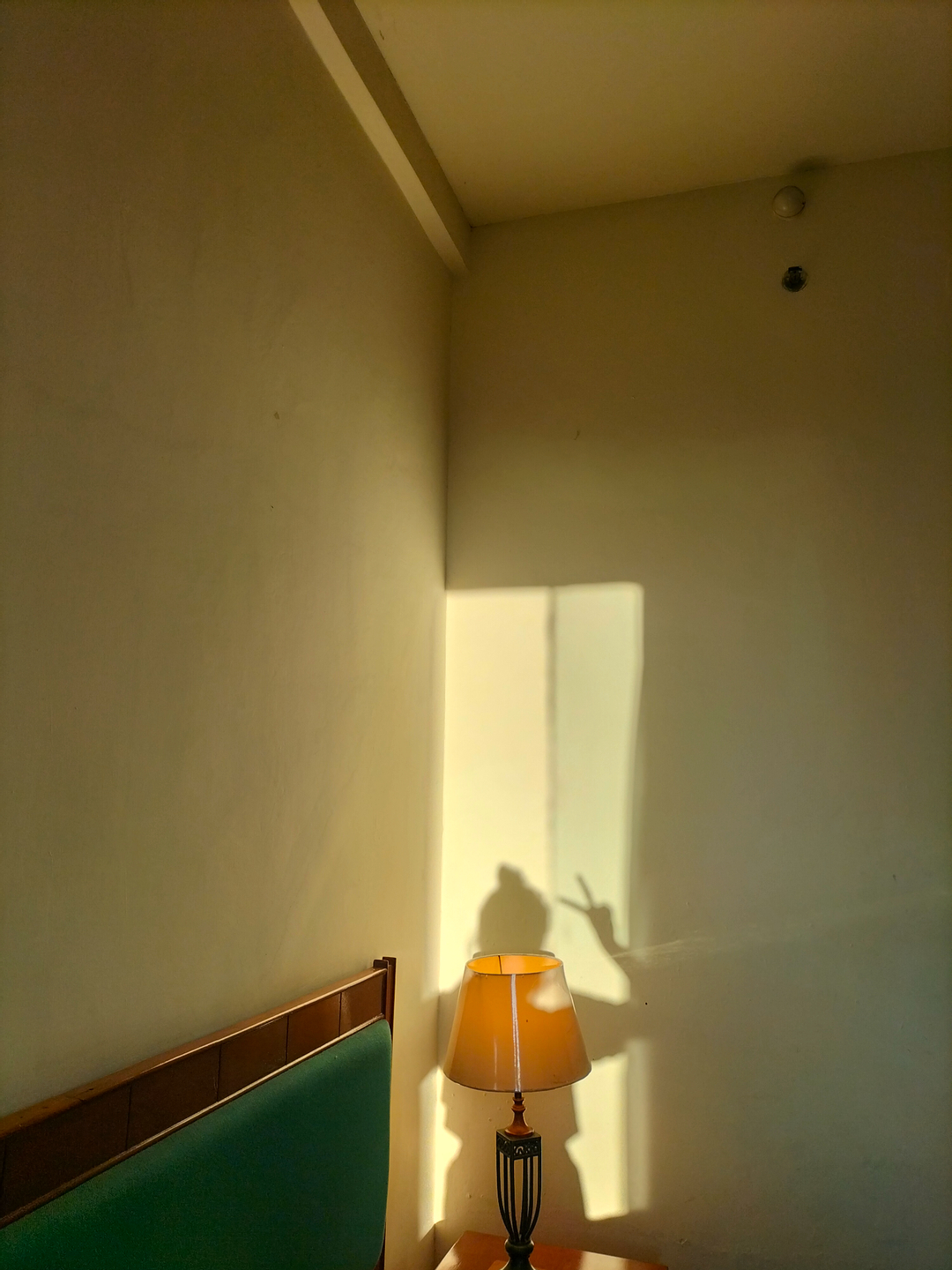userImage-8