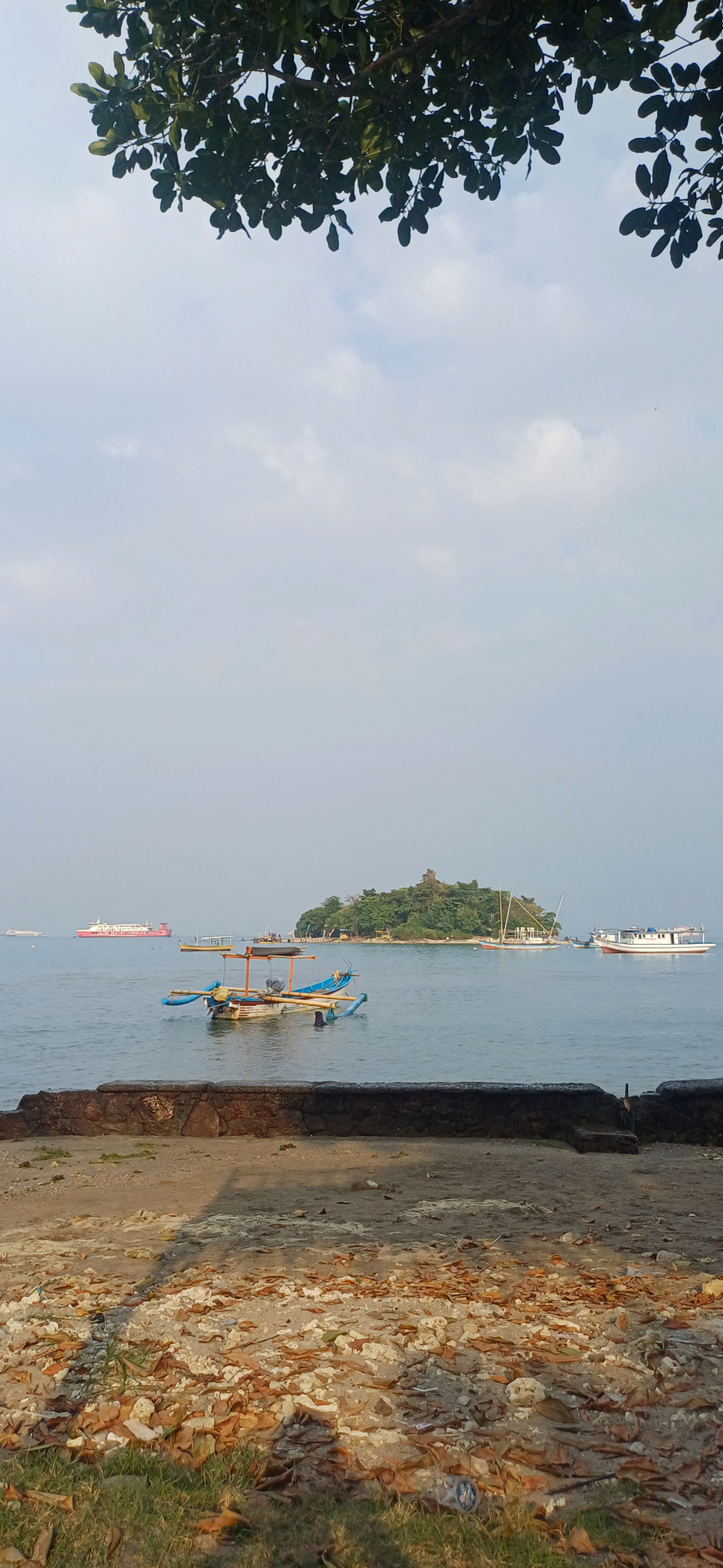 userImage-12