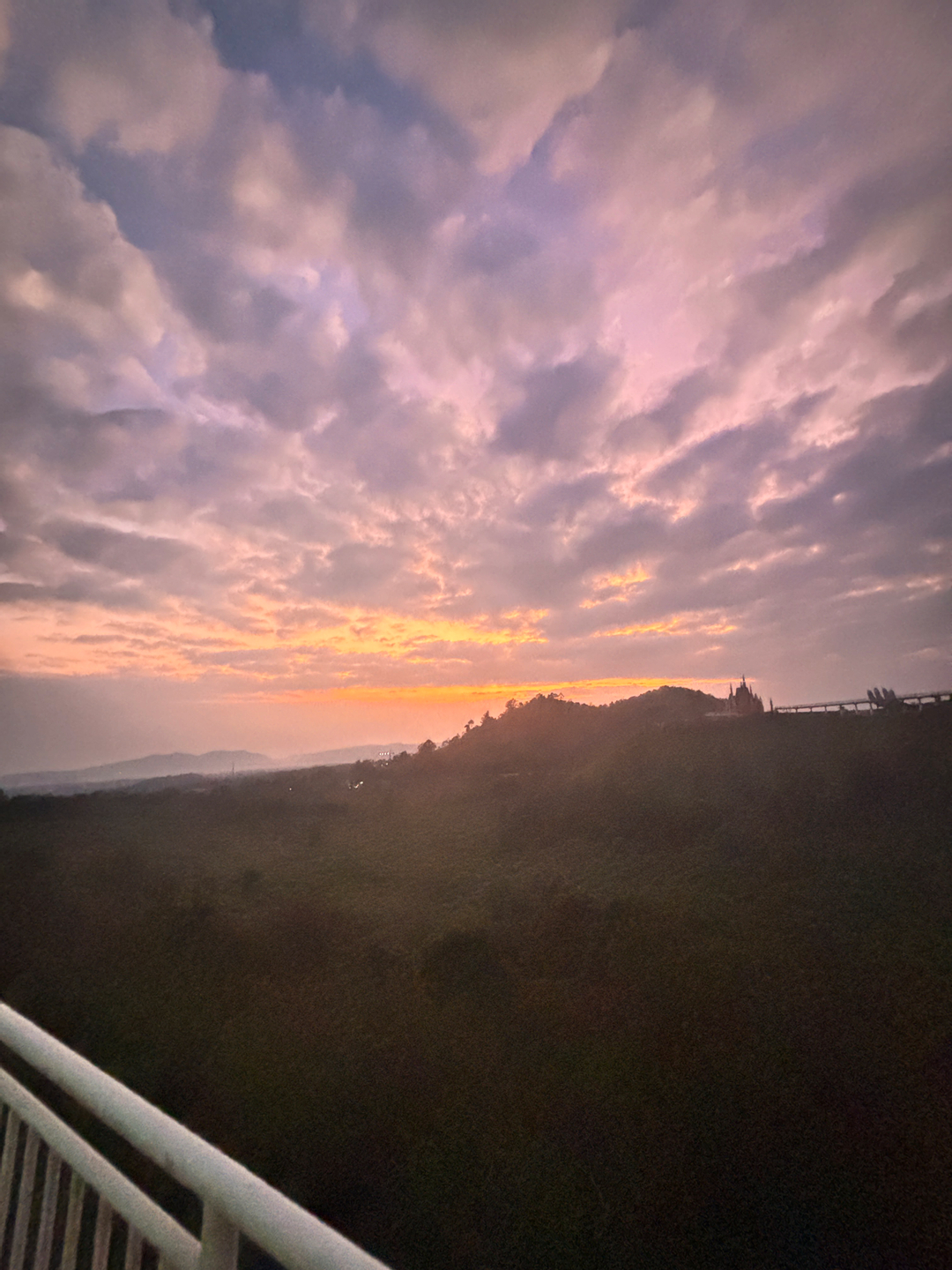 userImage-19