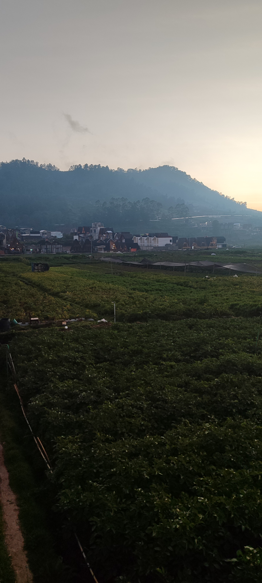 userImage-11