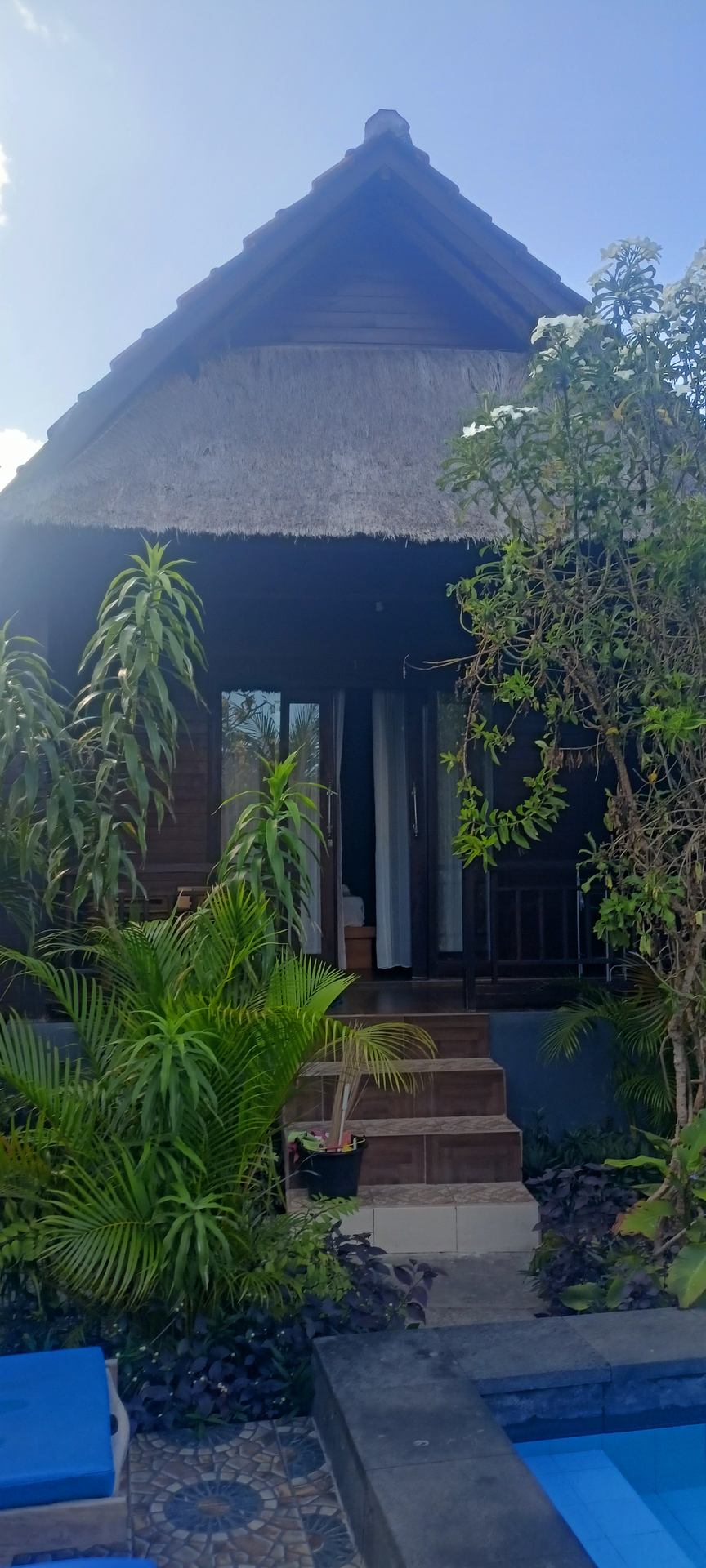 userImage-1