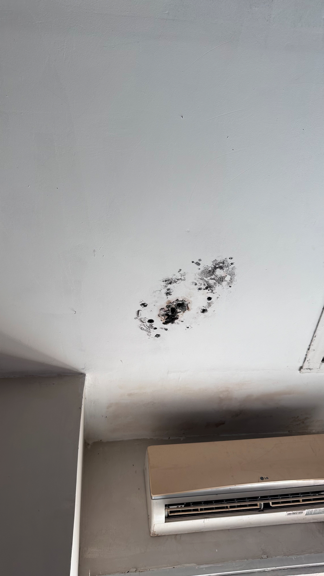 userImage-1