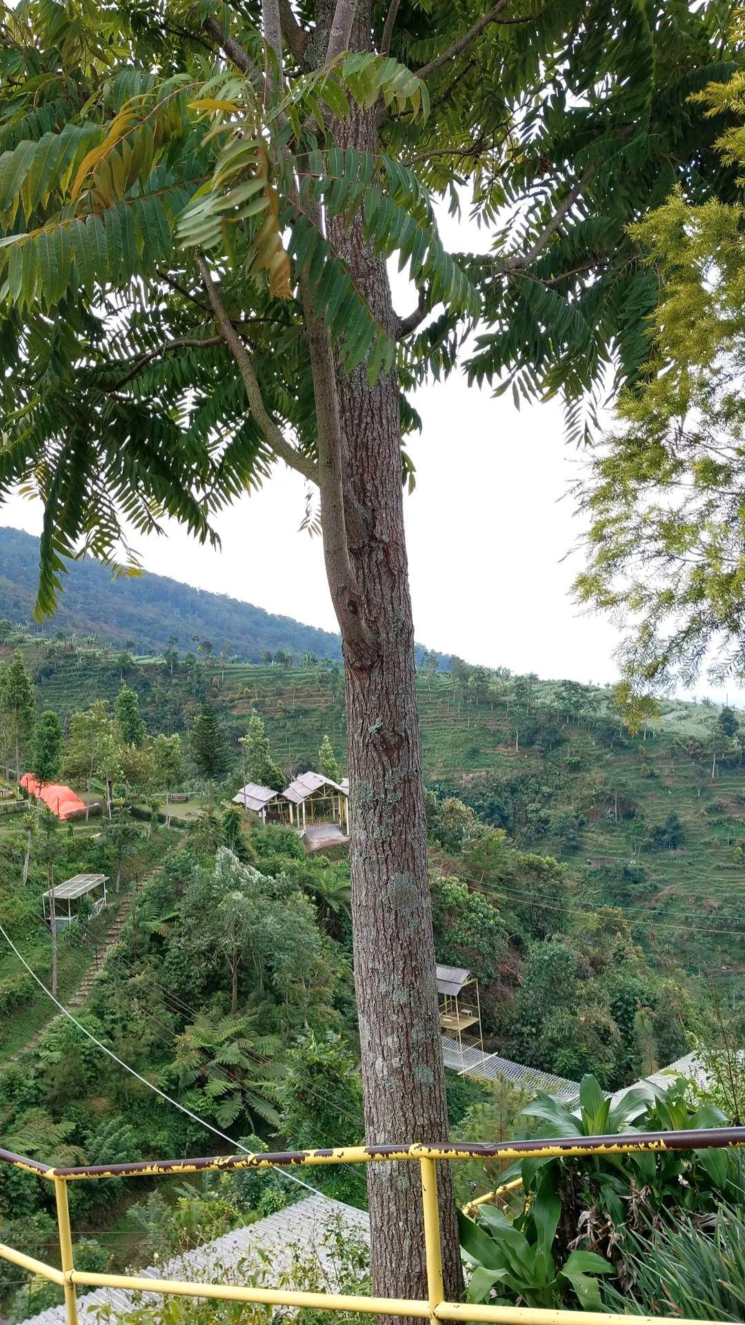 userImage-10