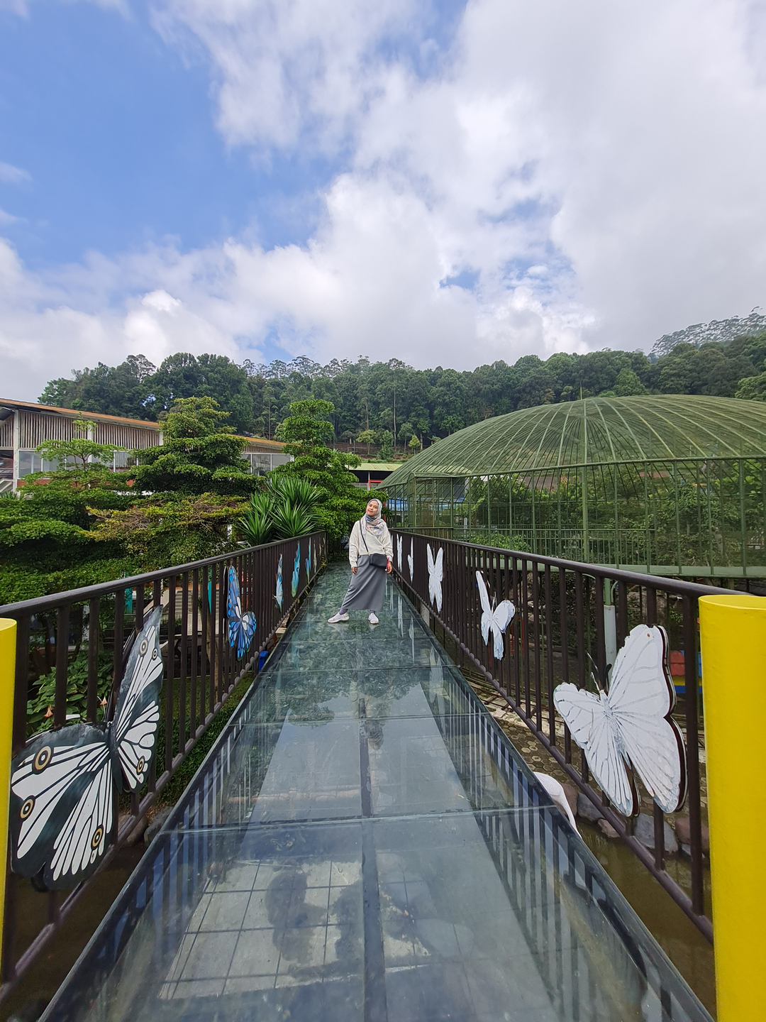 userImage-11