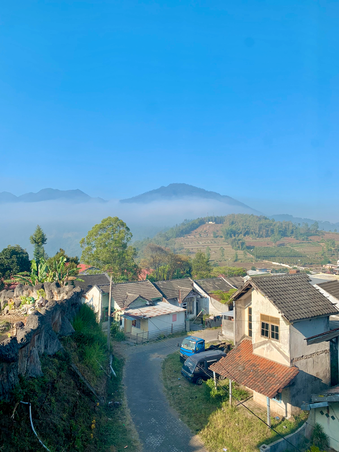 userImage-9