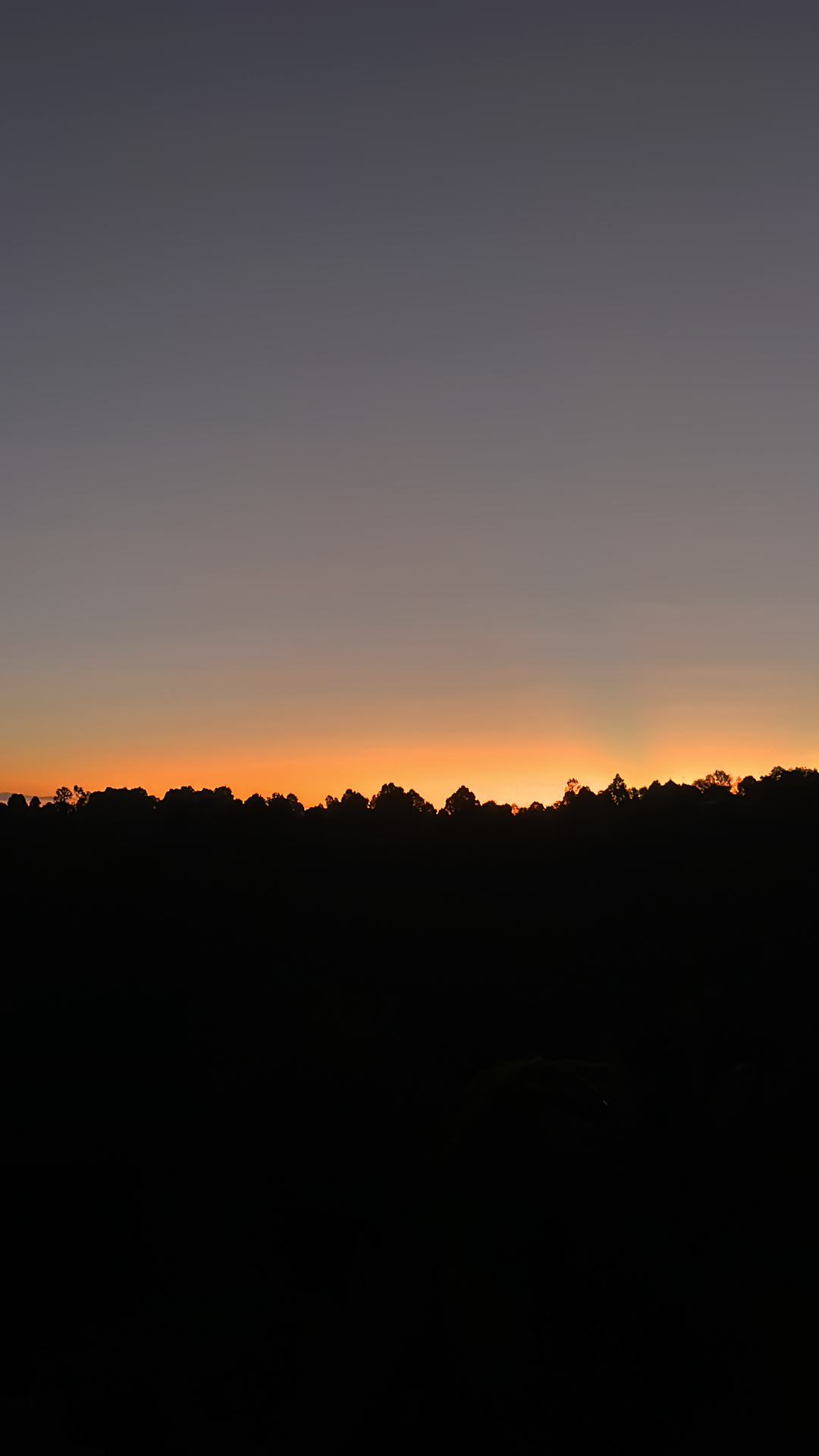 userImage-6