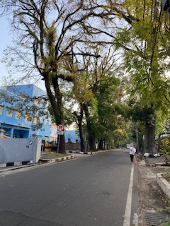 userImage-1