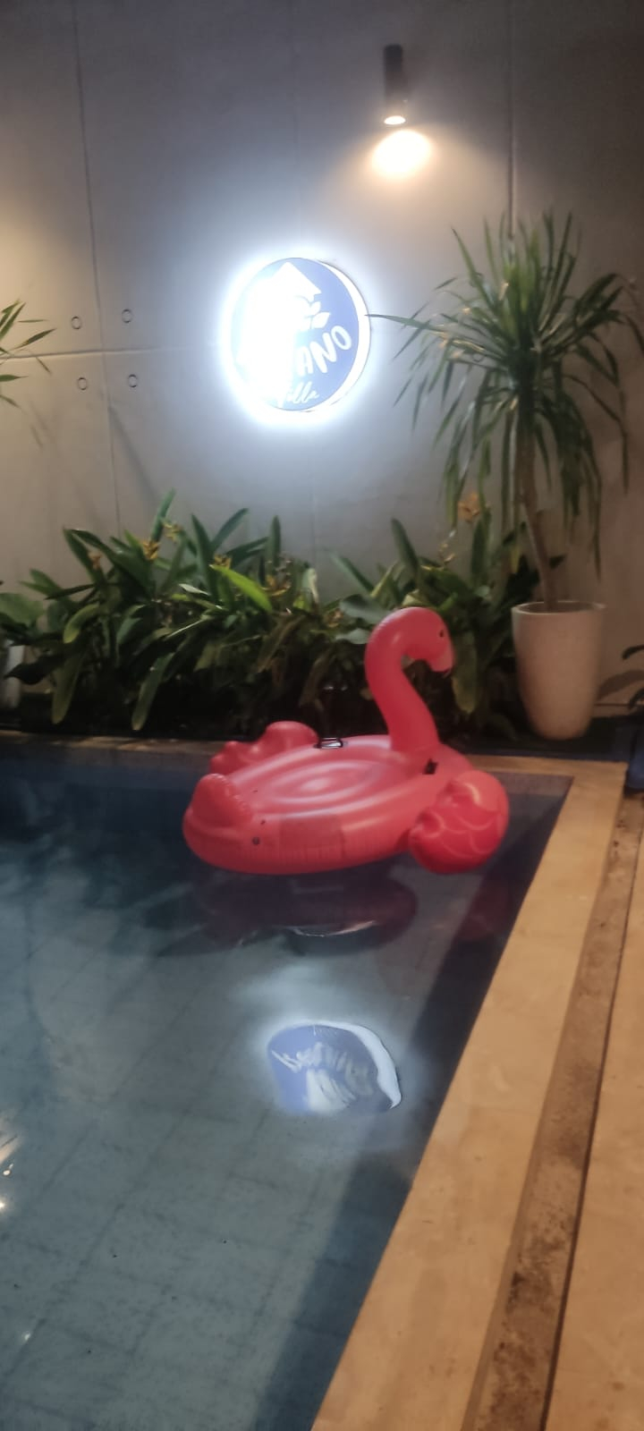 userImage-2