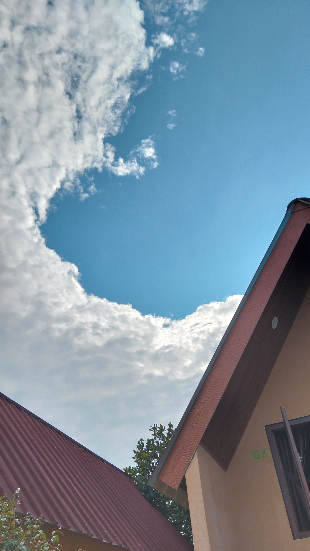 userImage-1