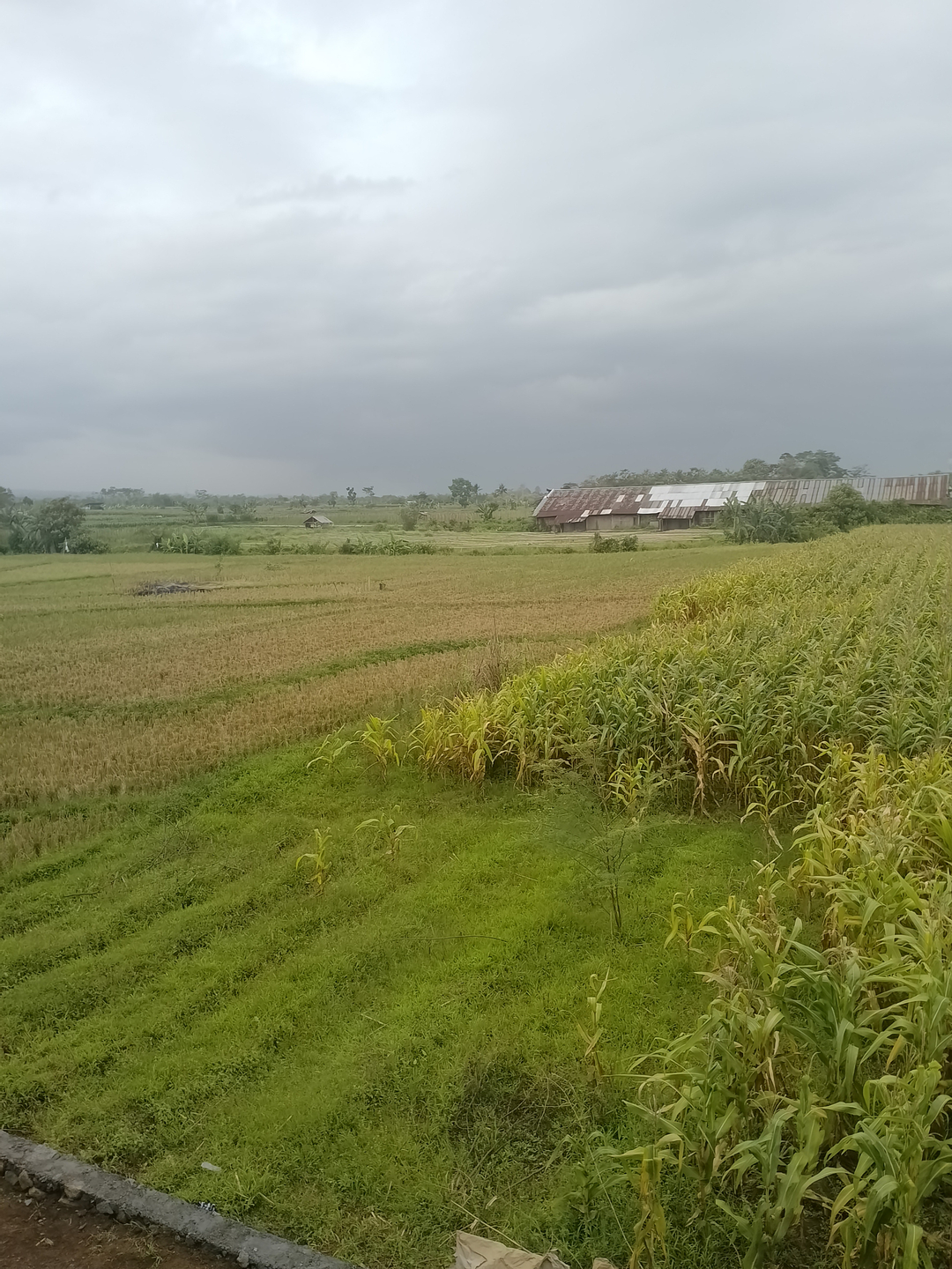 userImage-9