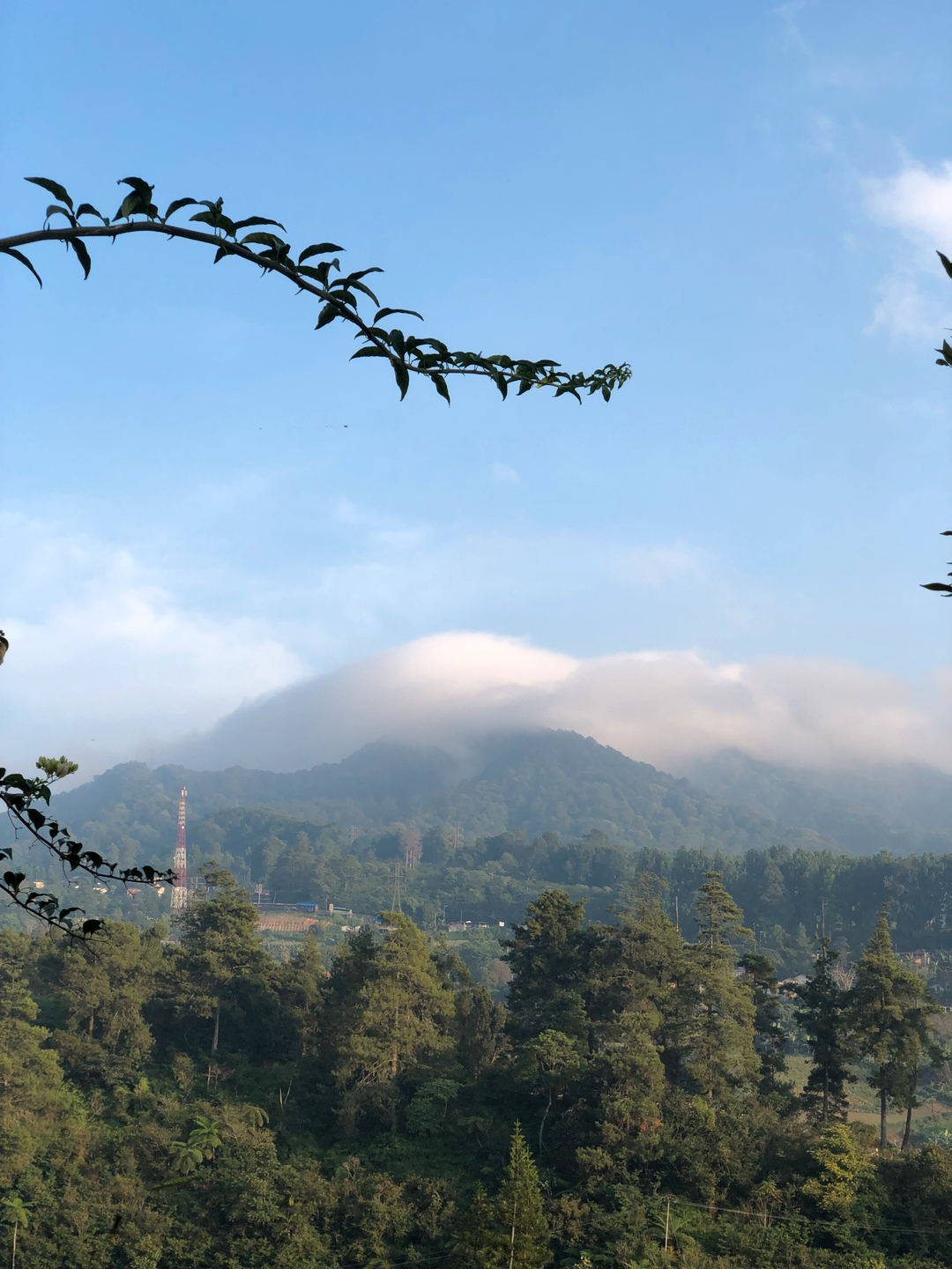 userImage-12