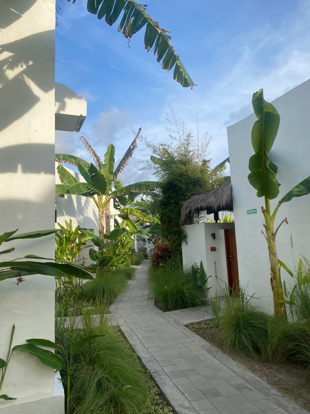 userImage-8
