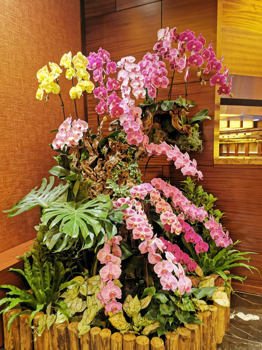 userImage-4