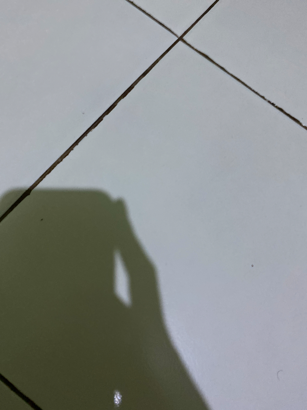 userImage-17