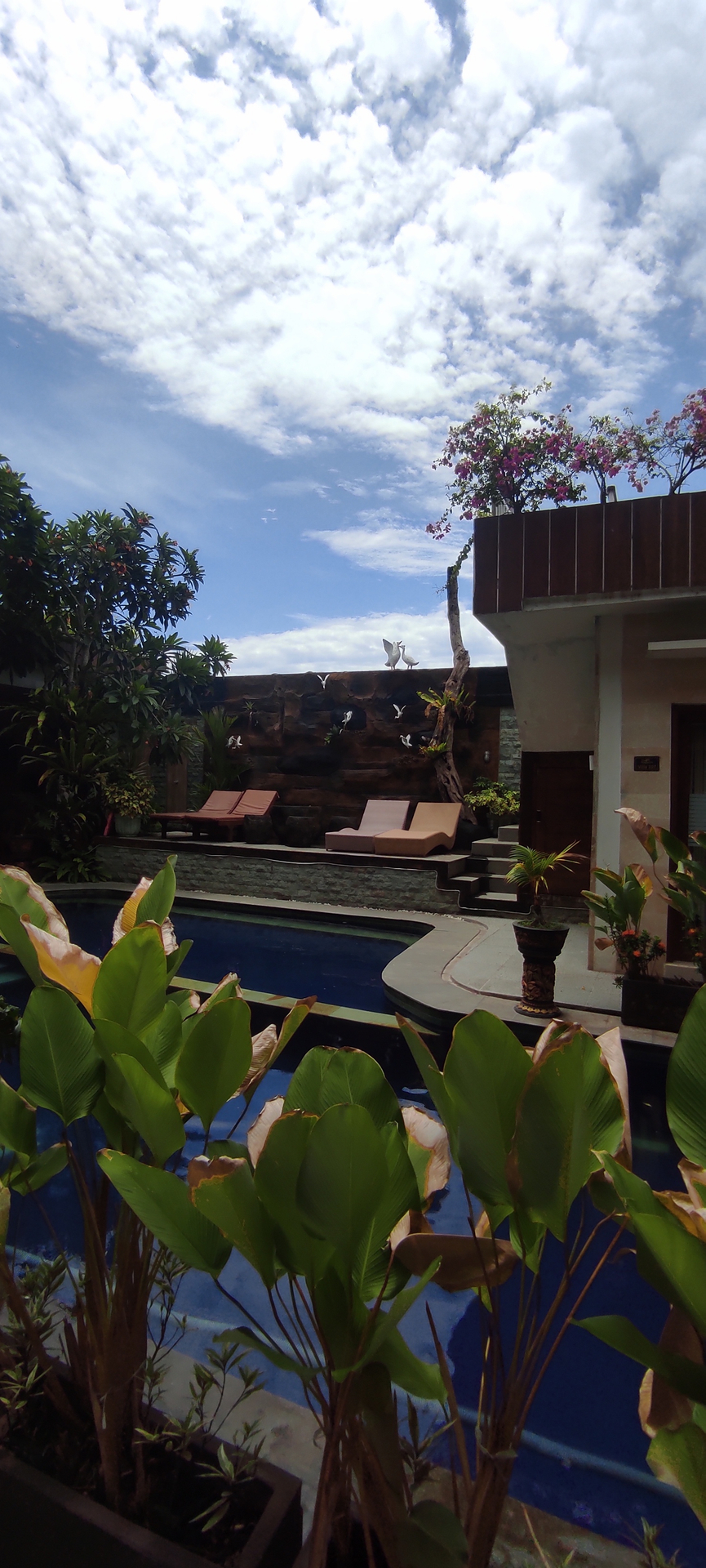 userImage-1