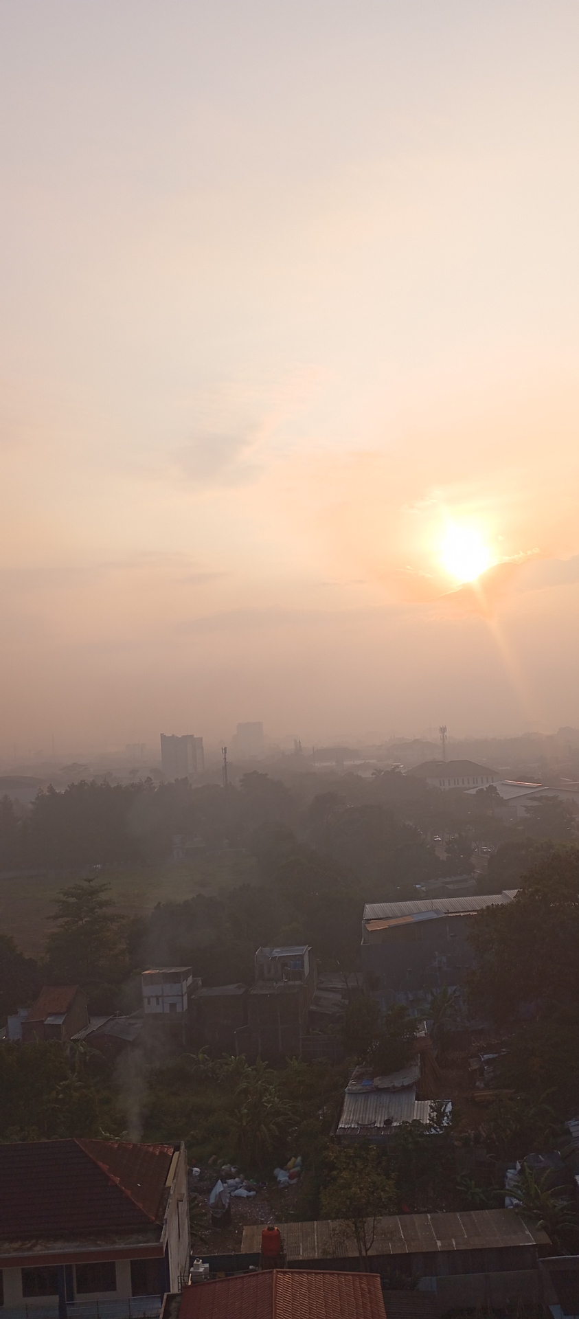 userImage-4