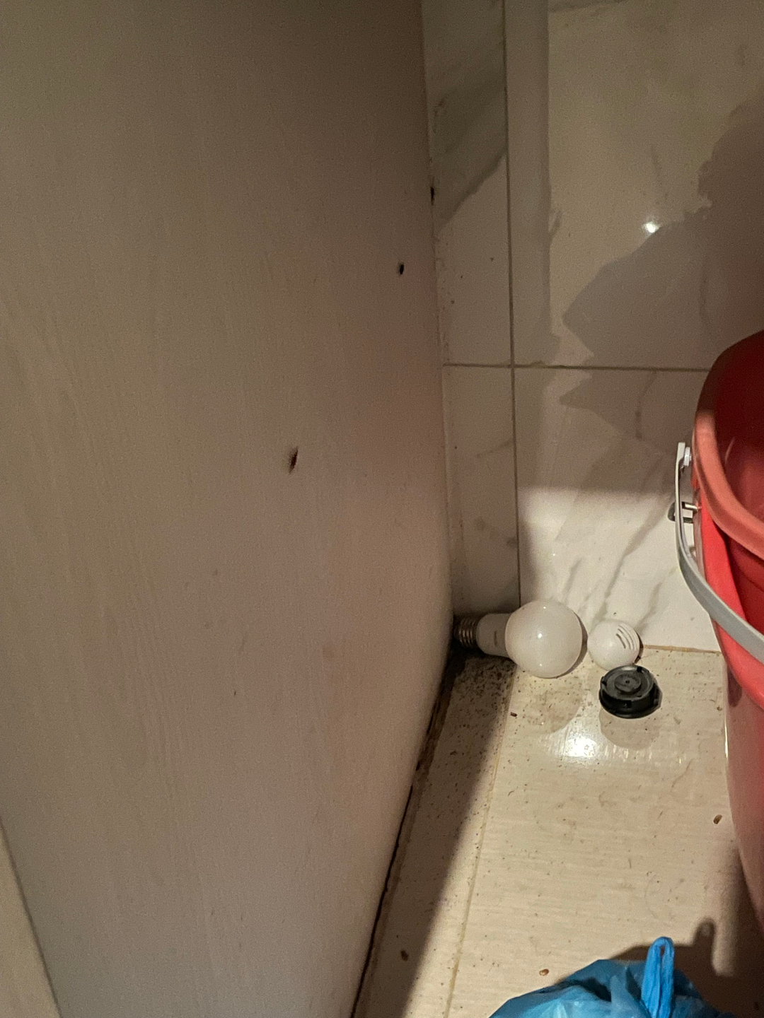 userImage-12