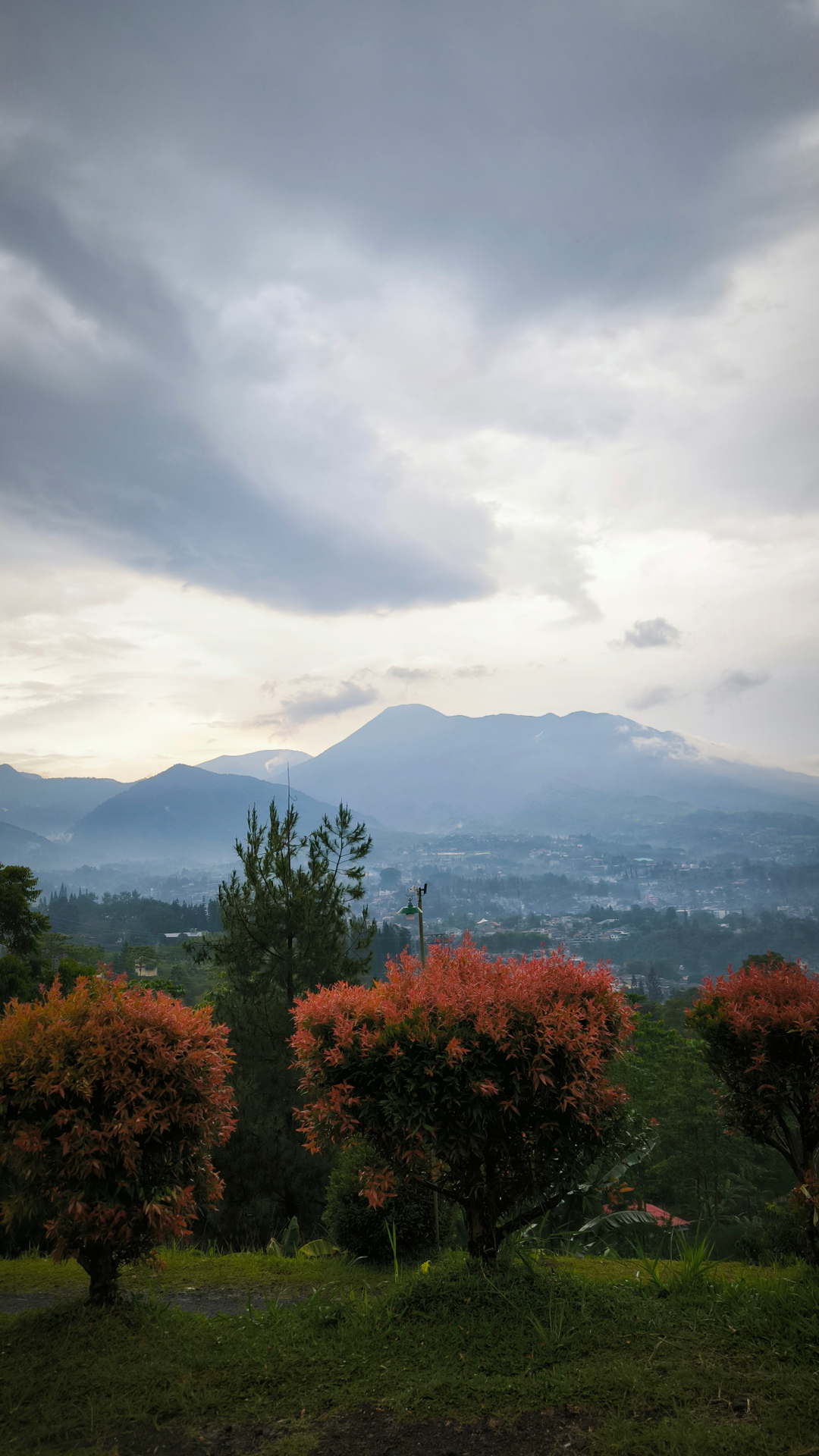 userImage-7