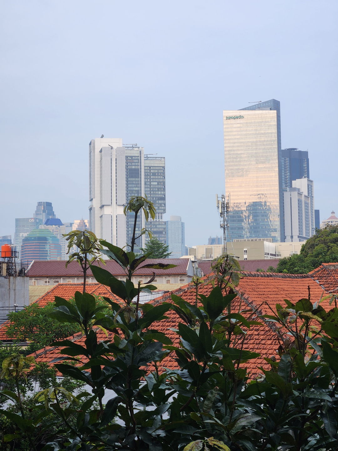 userImage-13