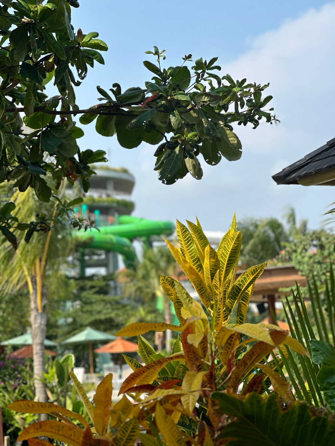 Waterbom Bali Promo Tiket Masuk Kuota Terbatas waterbom-bali-promo-tiket-masuk-kuota-terbatas