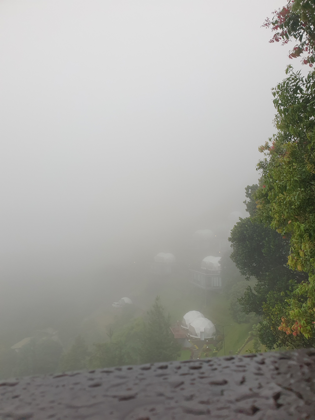 userImage-10