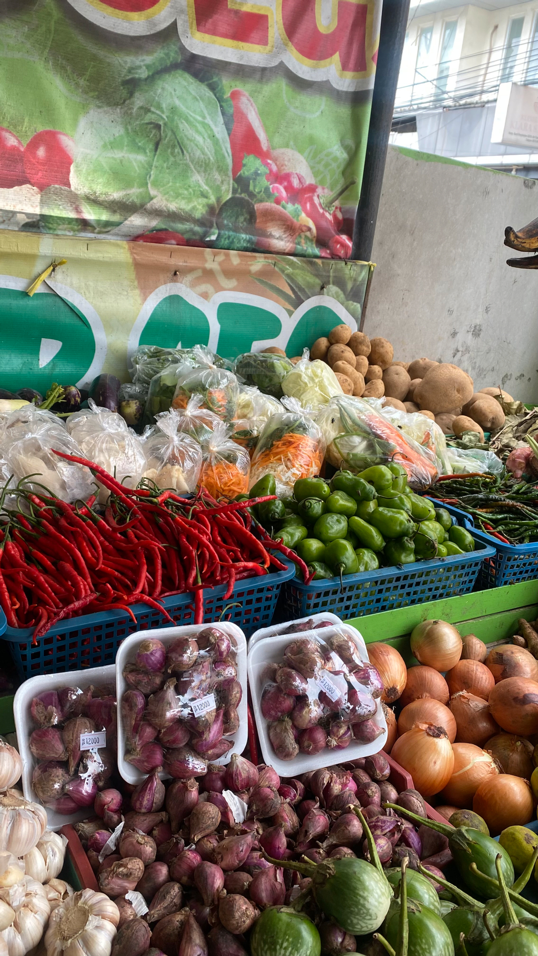 userImage-10