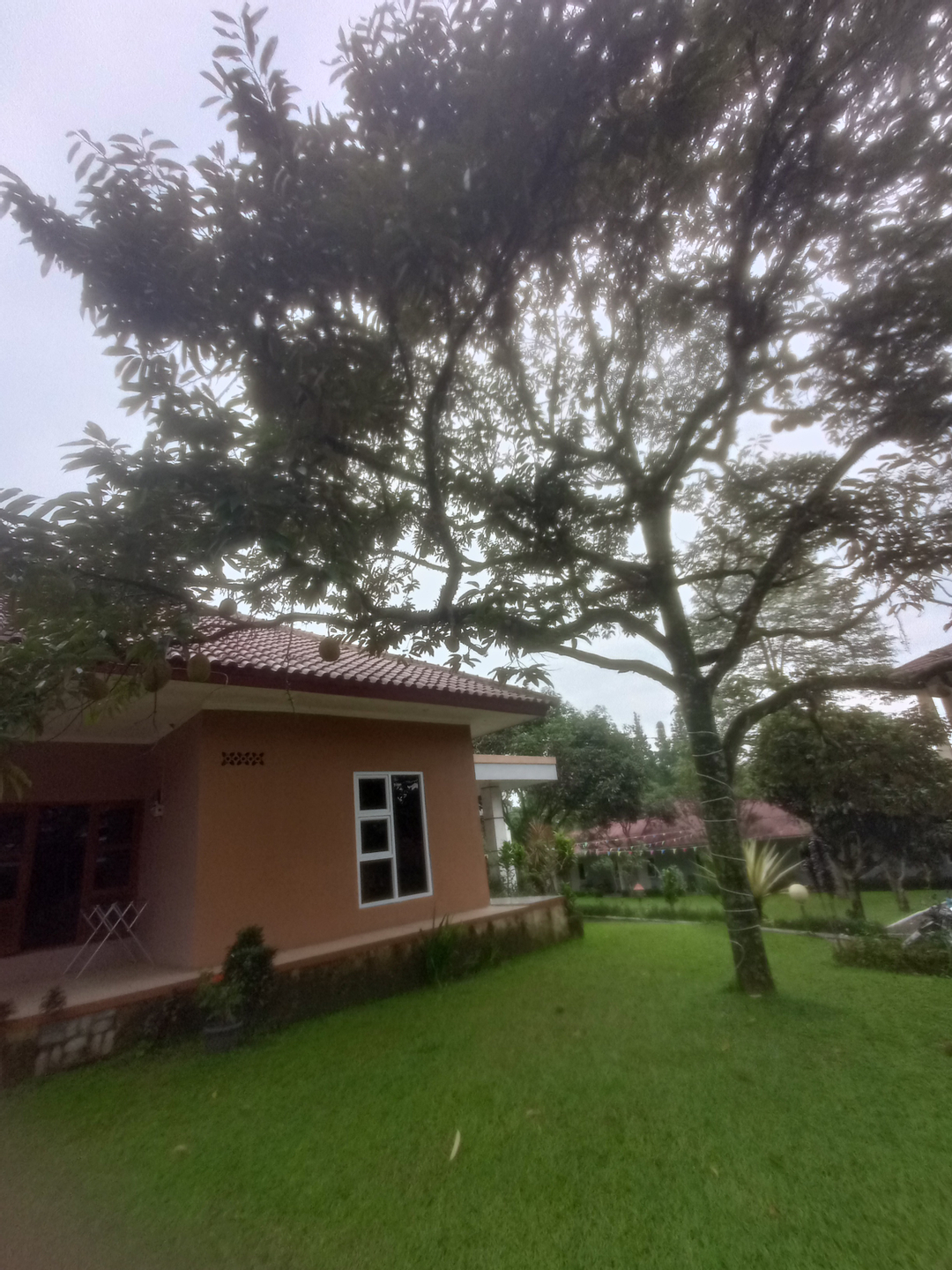 userImage-9
