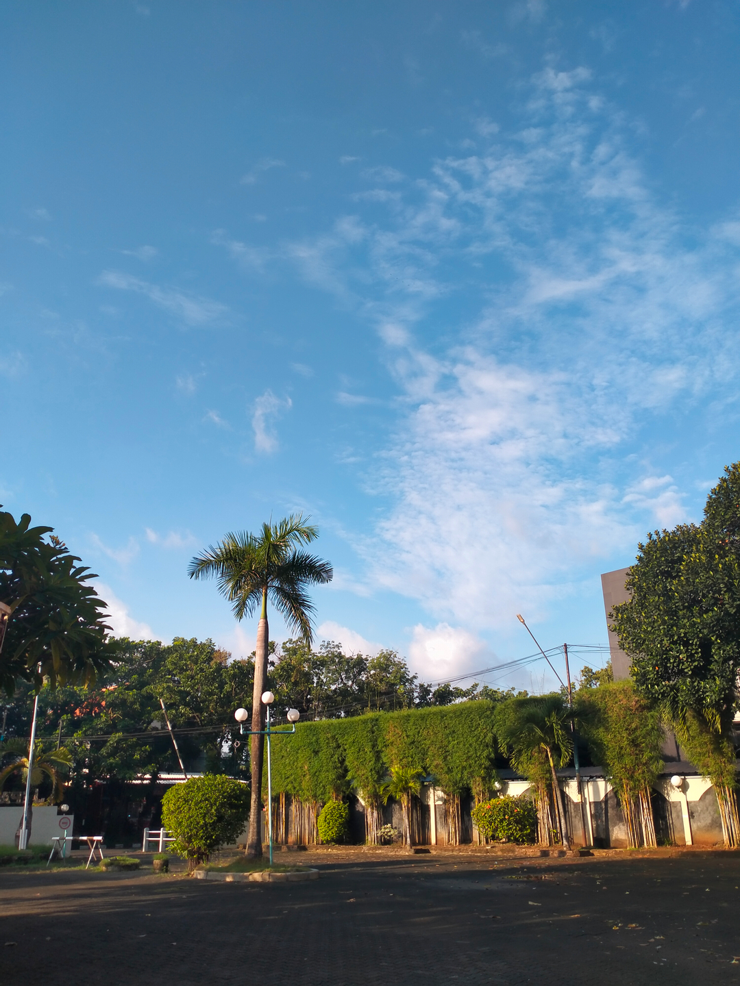 userImage-8
