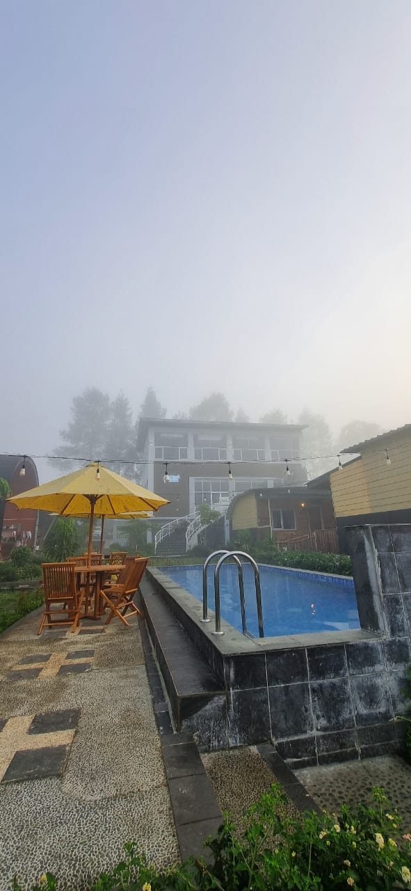userImage-1