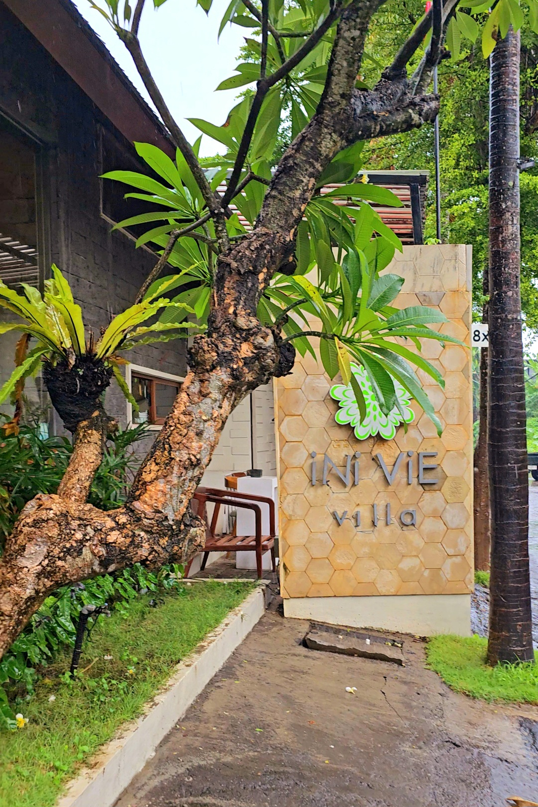 userImage-1