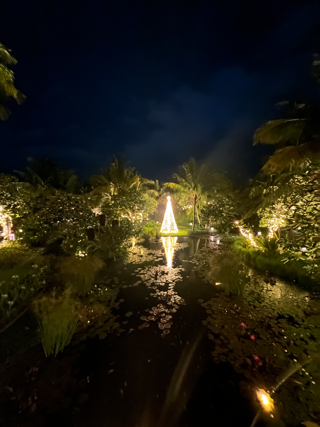 userImage-19