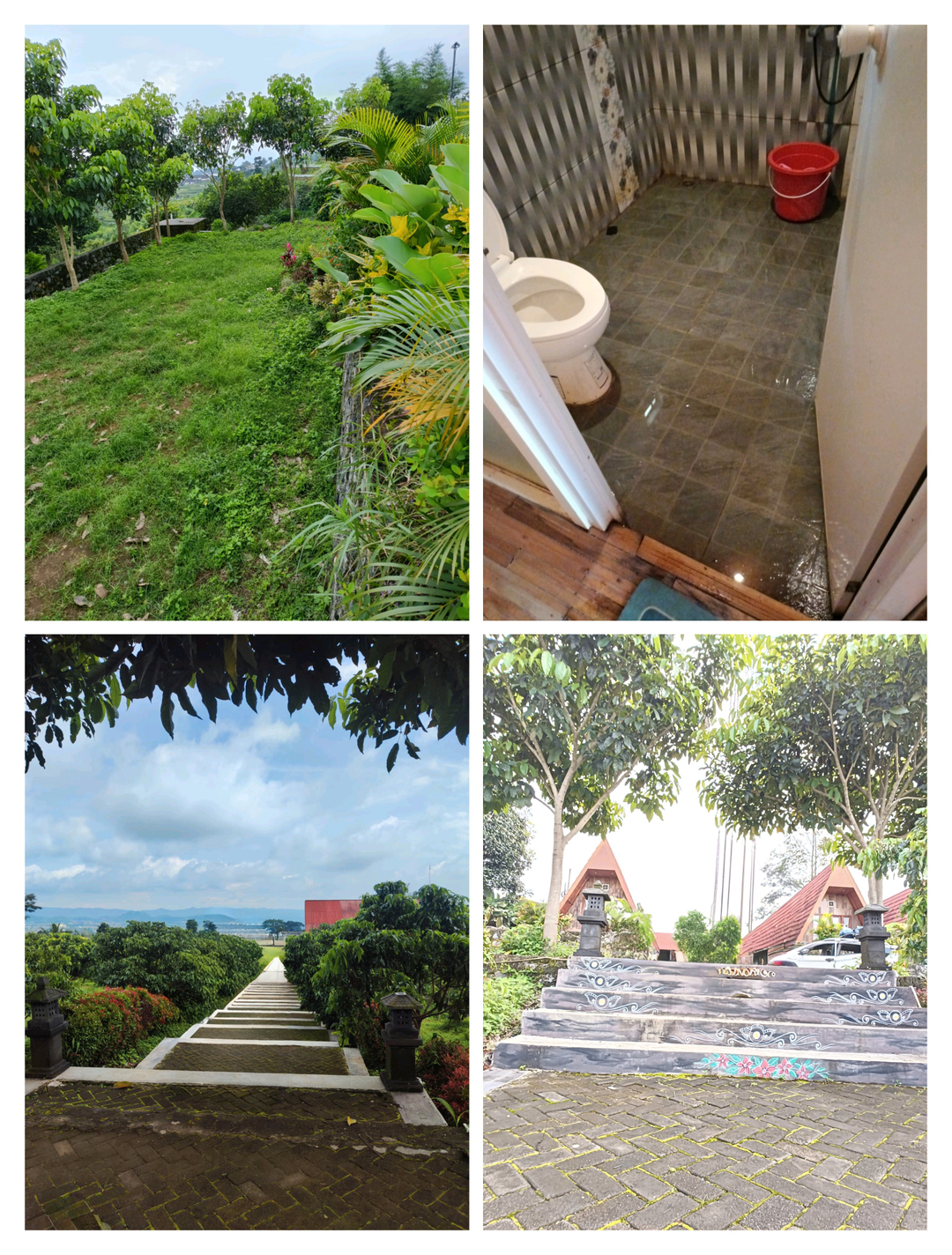 userImage-10