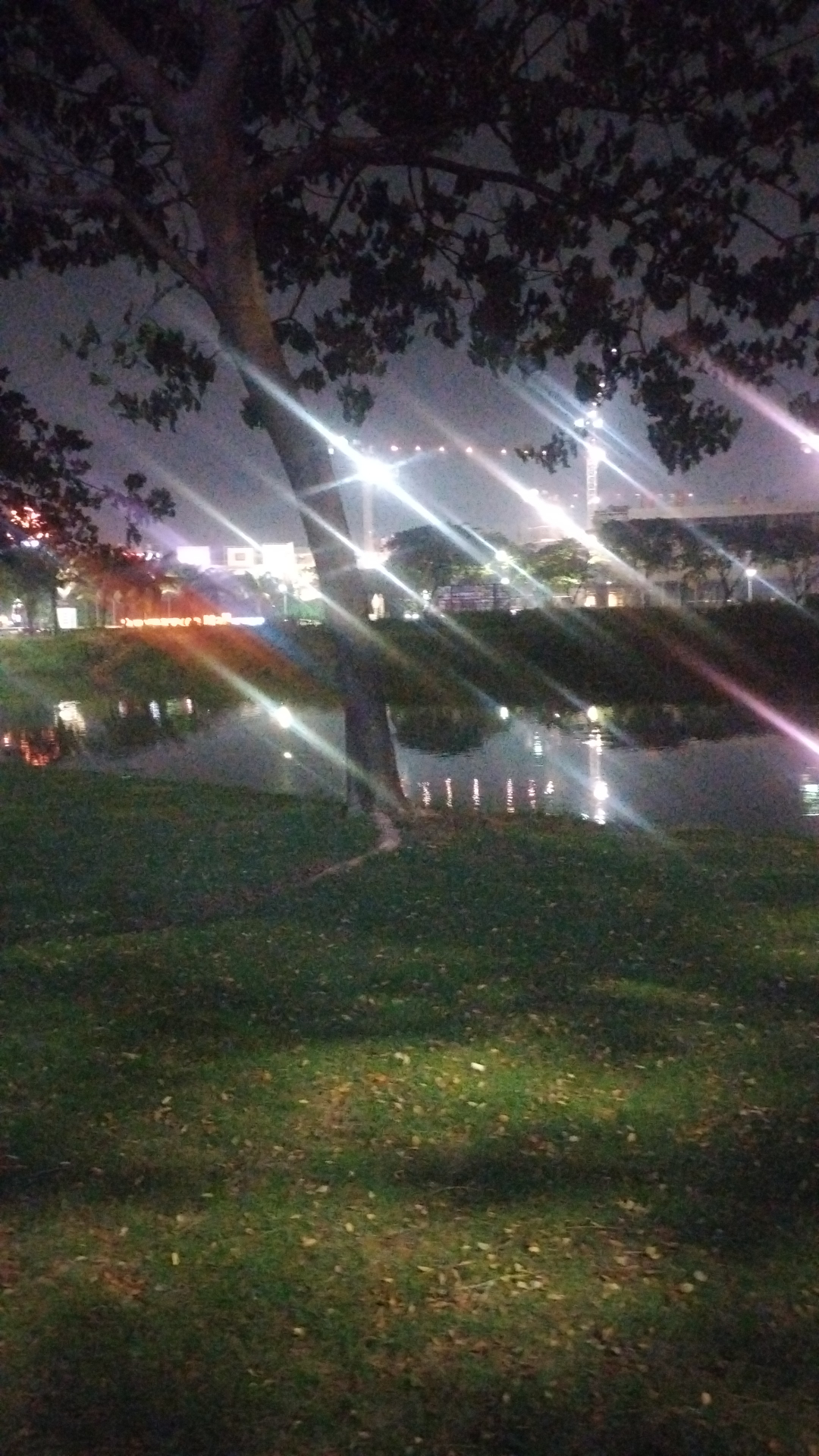 userImage-0