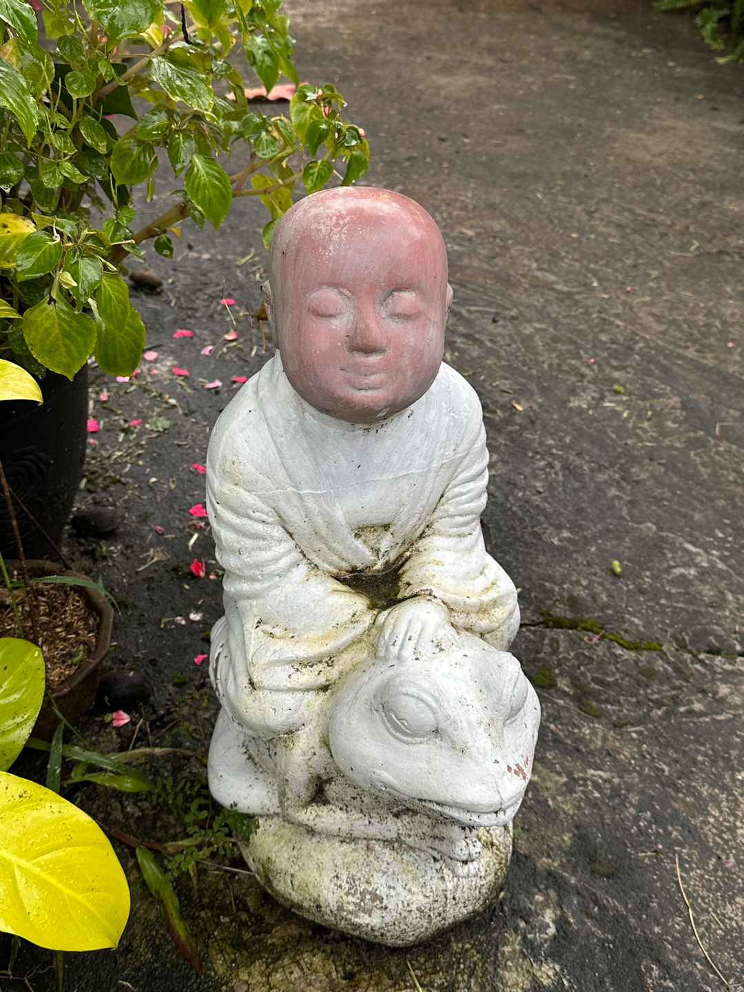 userImage-1