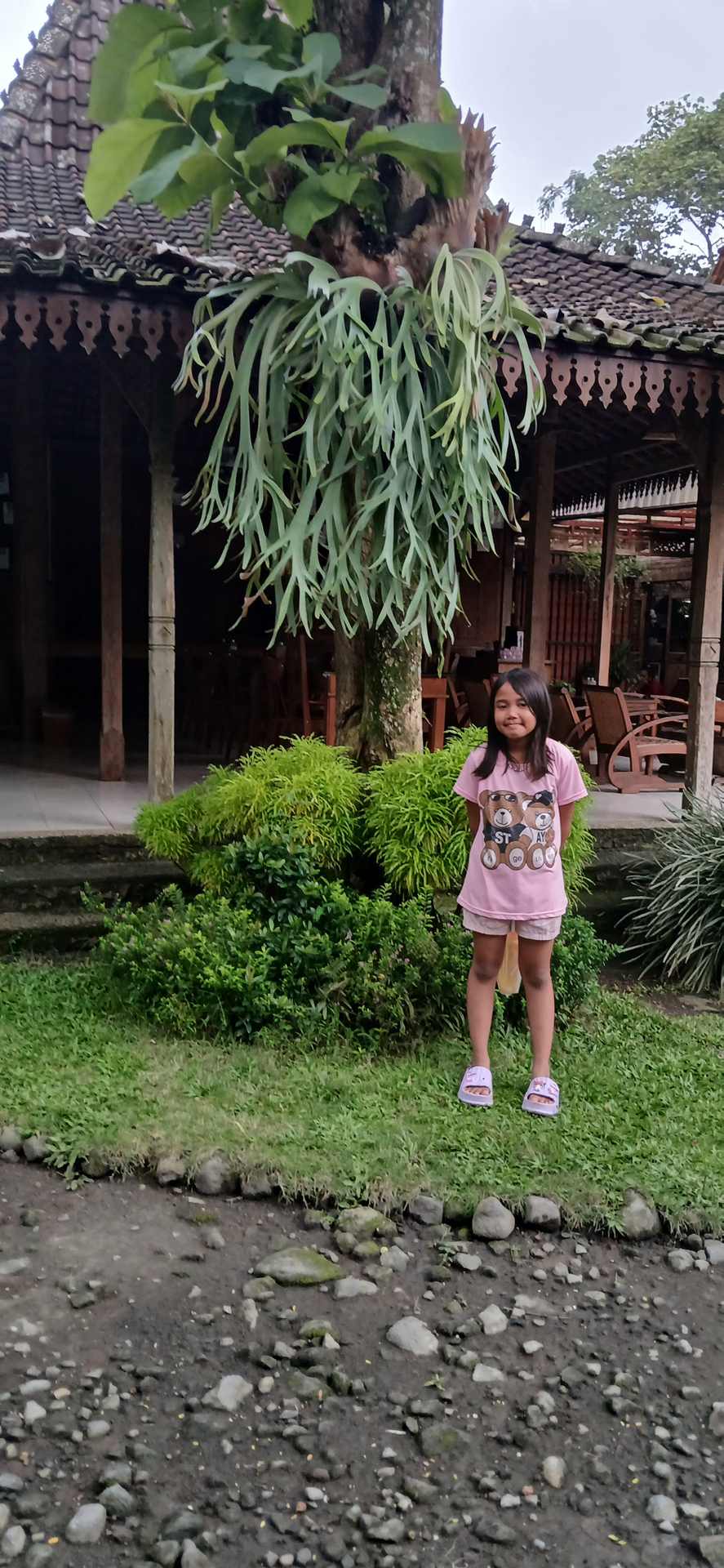 userImage-5