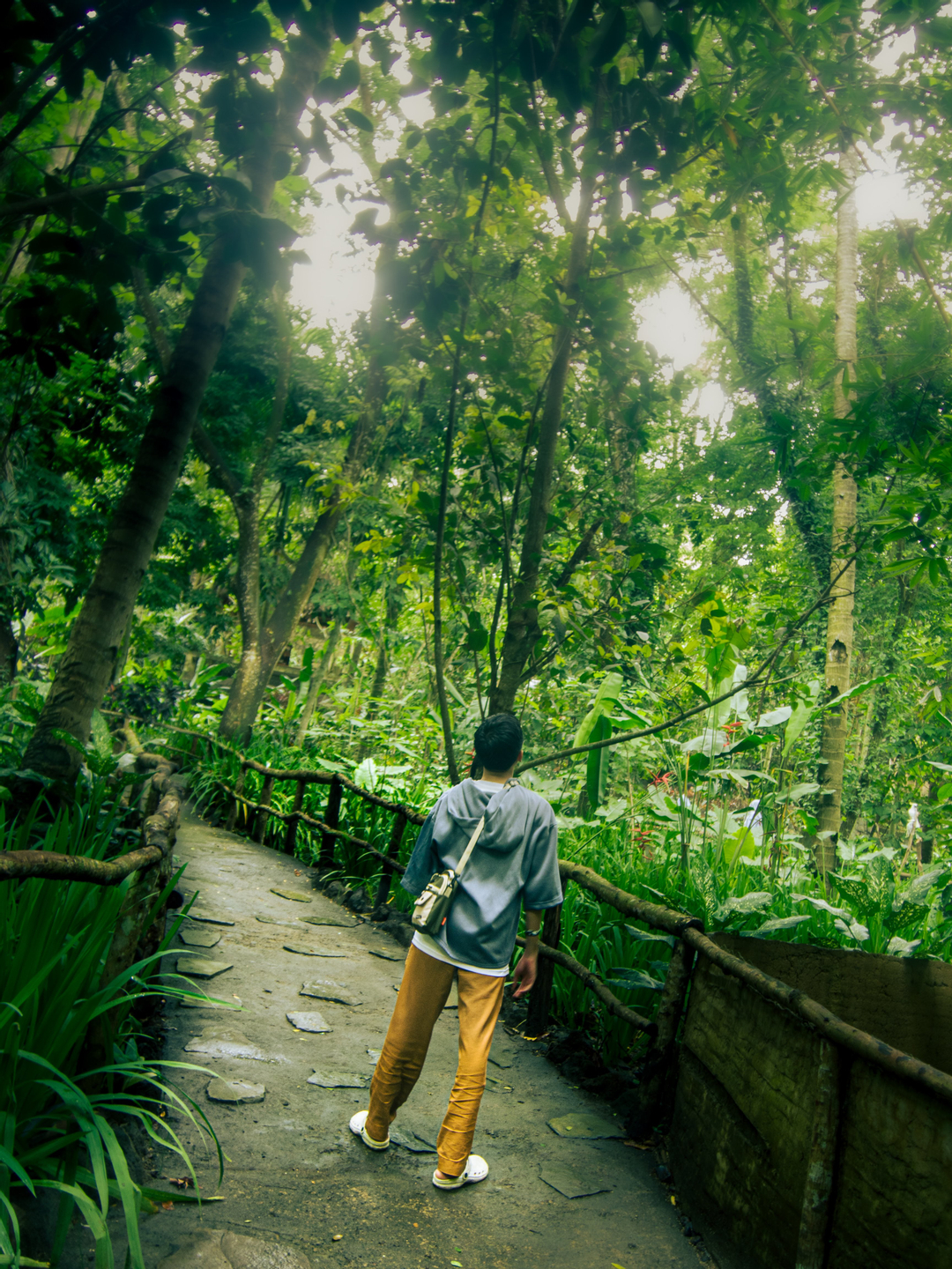 userImage-1