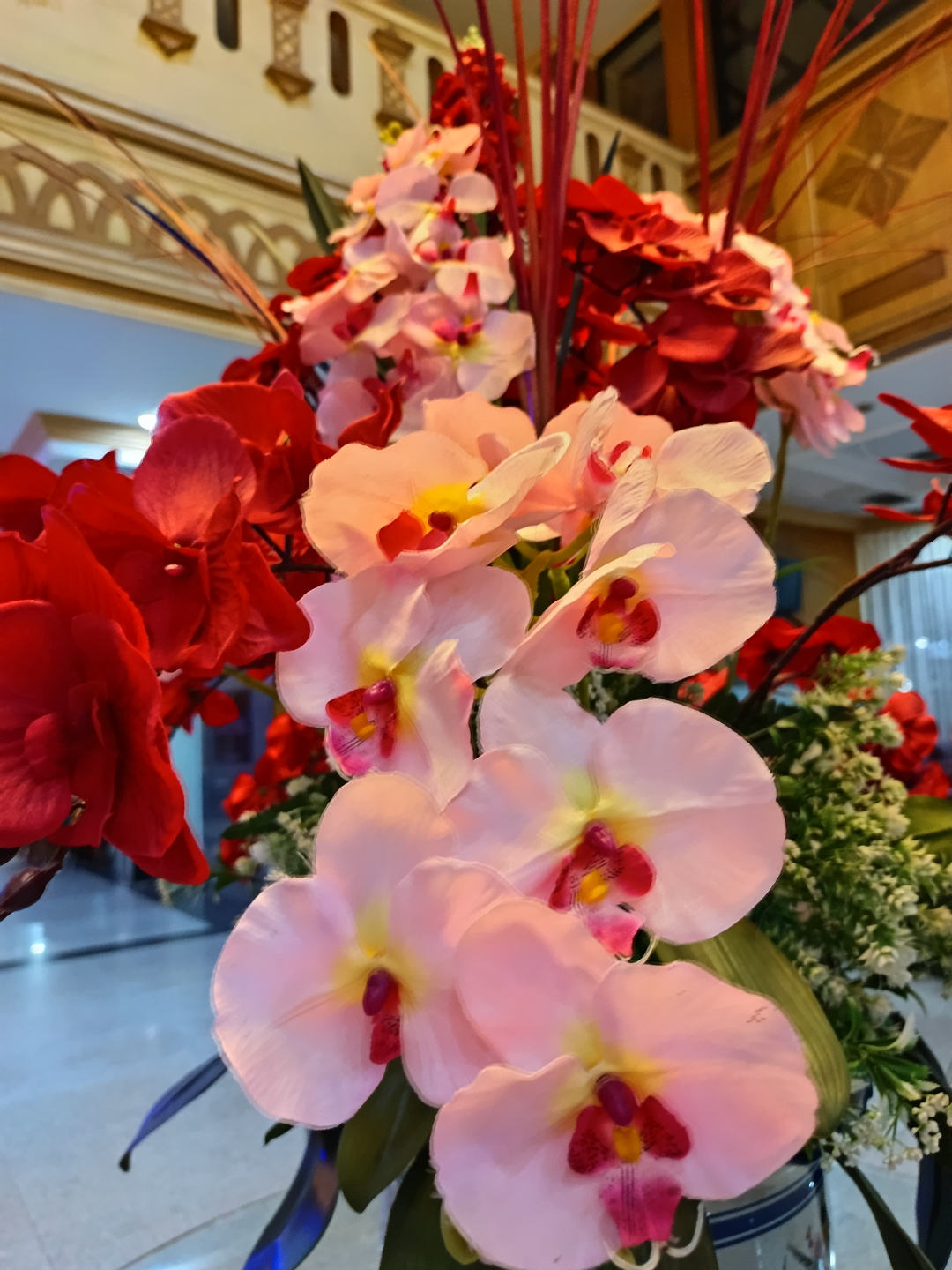 userImage-17