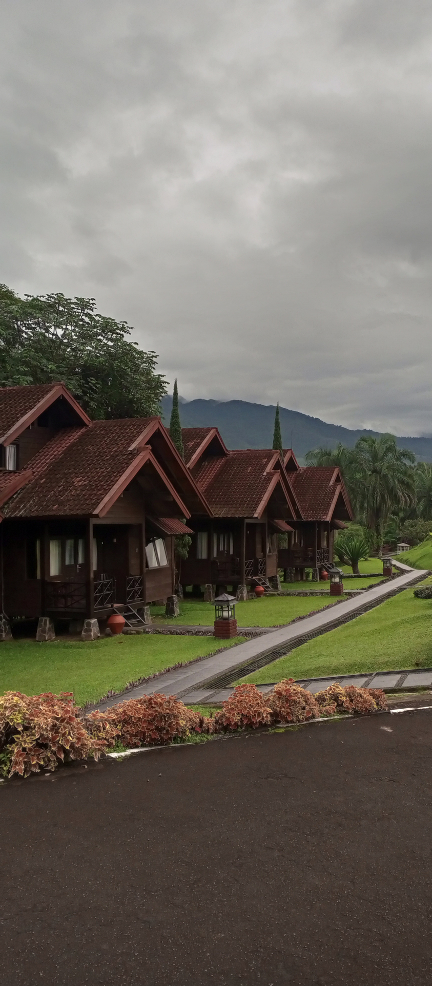 userImage-19