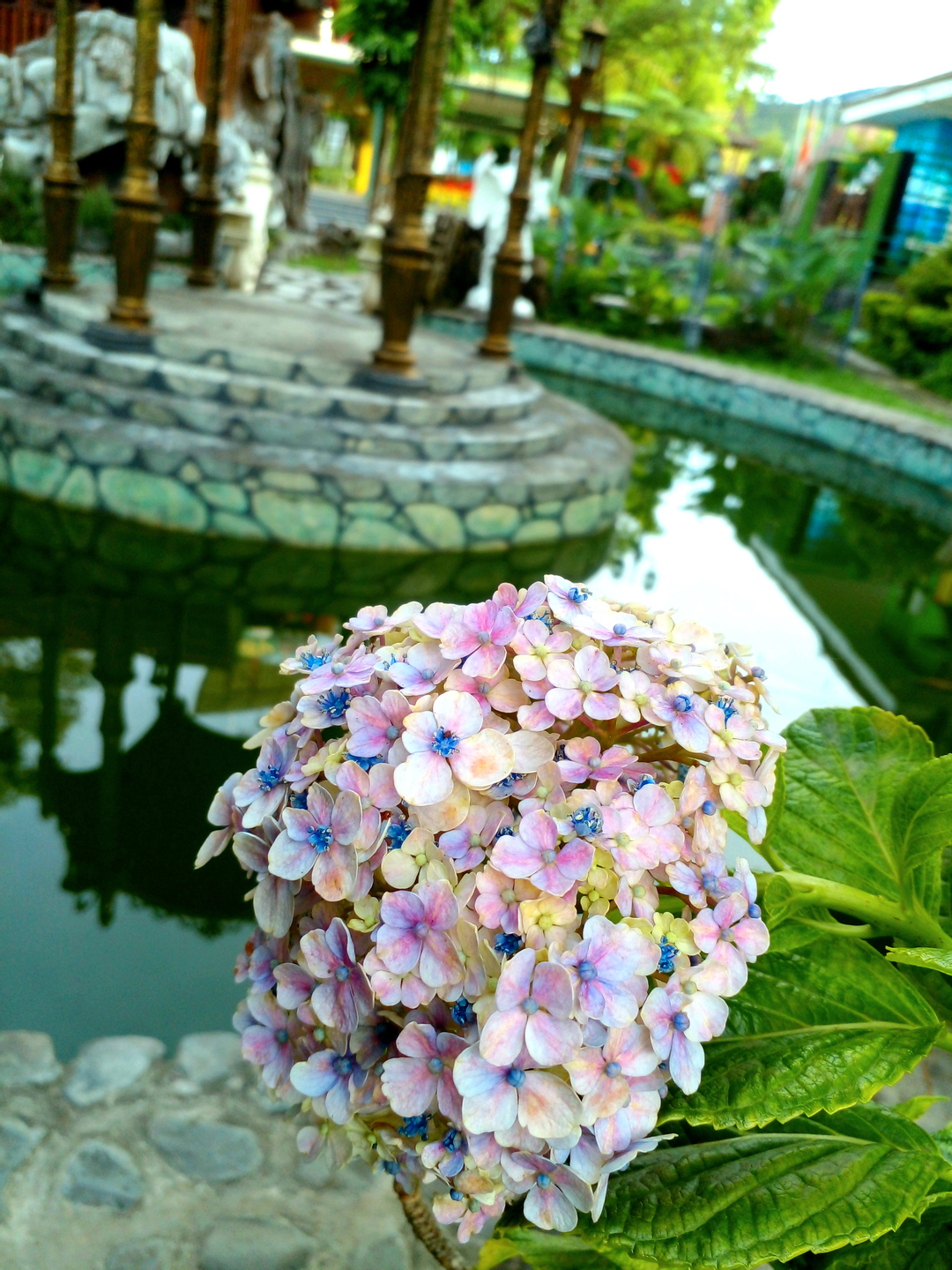 userImage-1