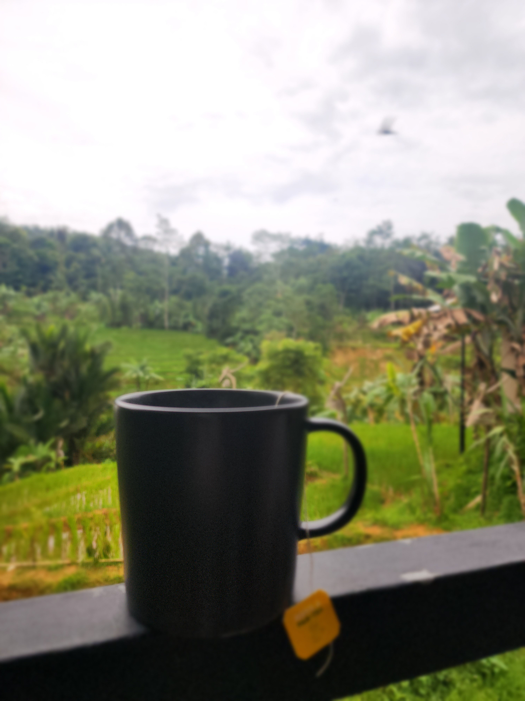 userImage-12