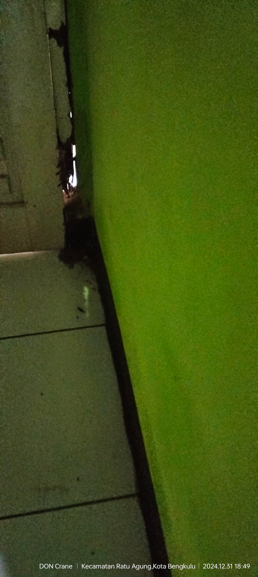 userImage-1