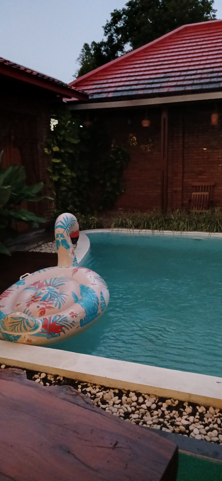 userImage-3