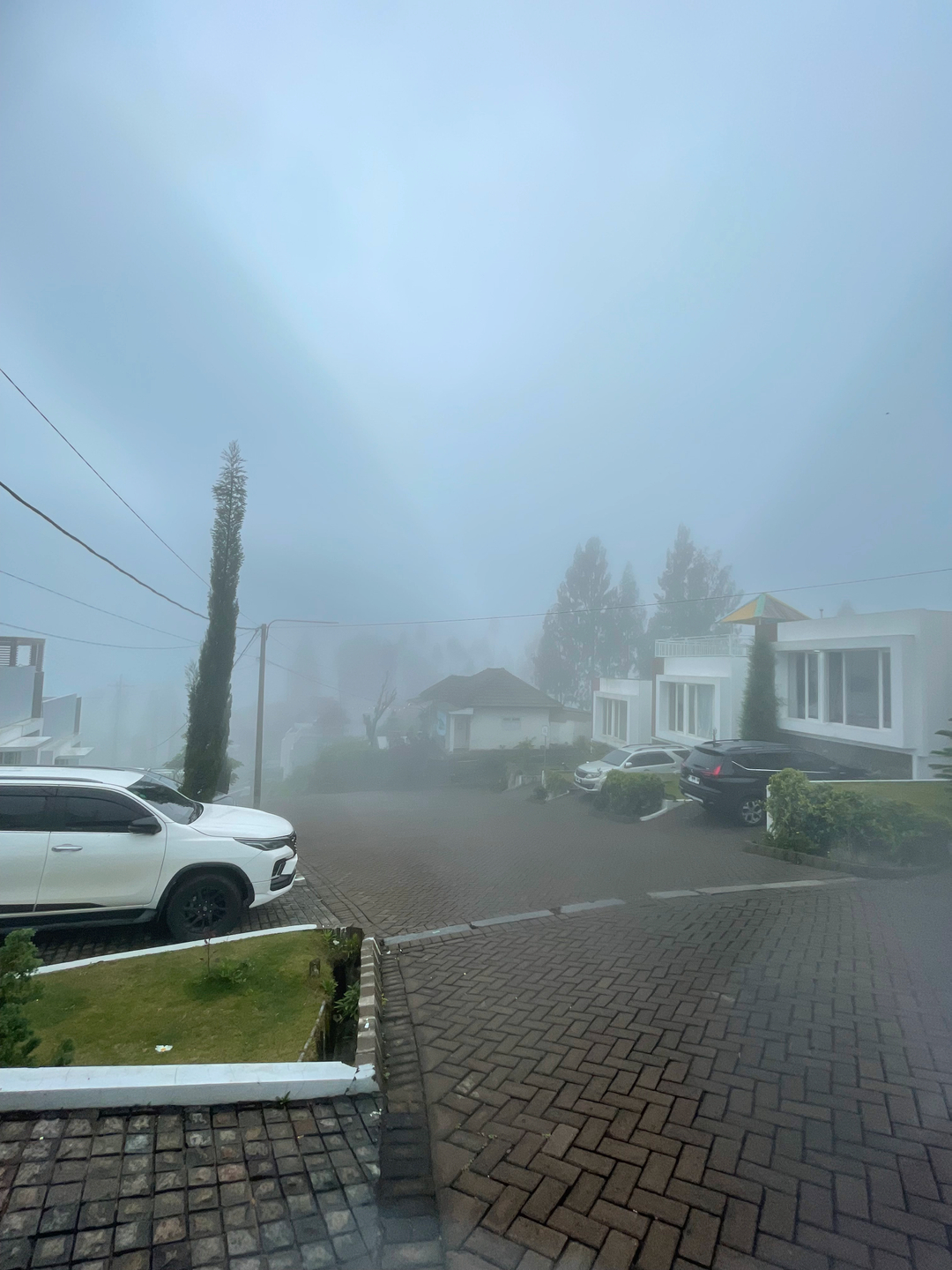 userImage-1