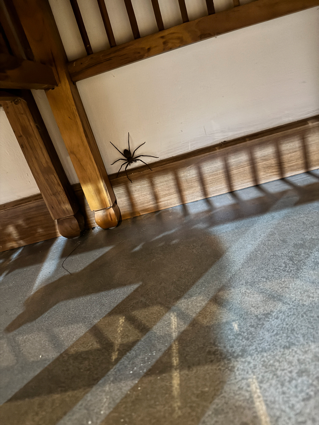 userImage-19