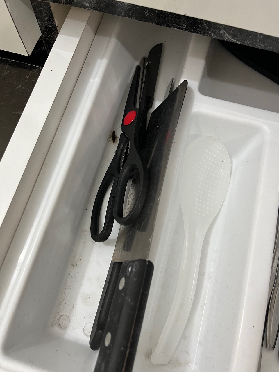 userImage-6