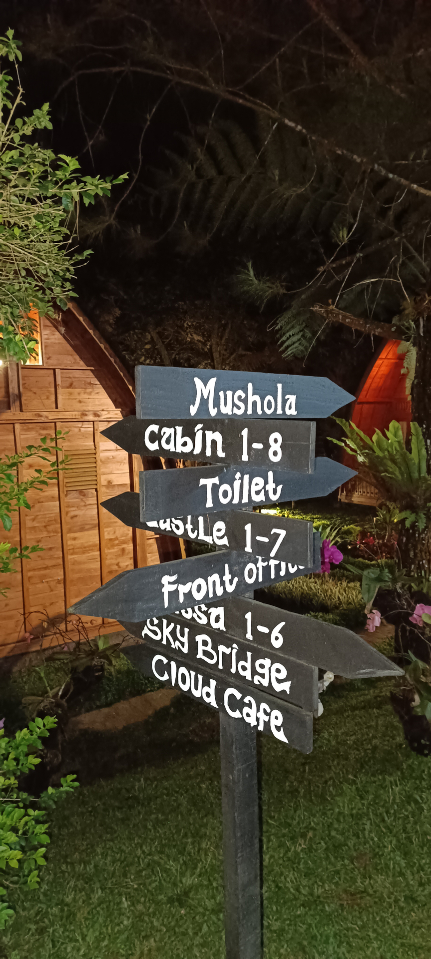 userImage-11