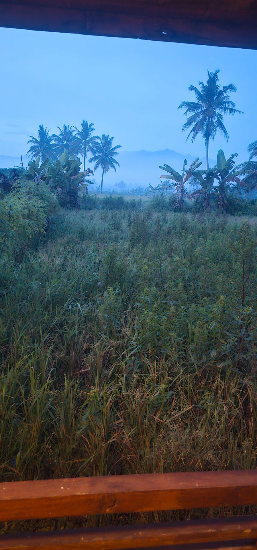 userImage-0